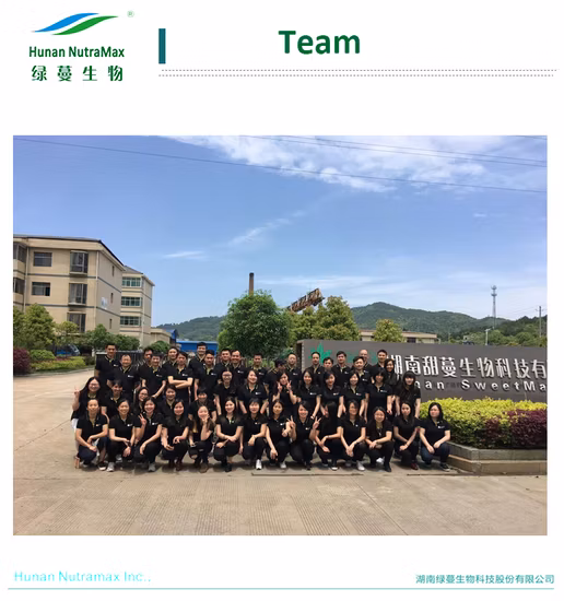 工場供給白茶ポリフェノールエキス粉末