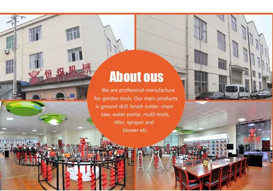 EUおよび従来のミルキーウーロン 中国ウーロン